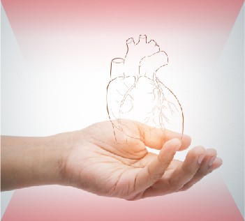Heart Problems